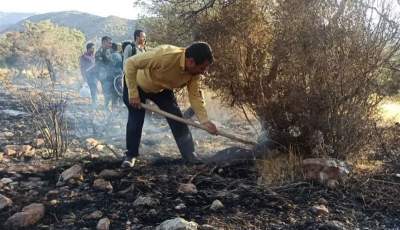 آسیب جدی آتش‌سوزی به جنگل‌های ‌دهبکری‌