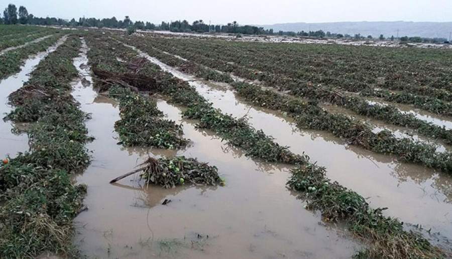 خسارت ۶۲۴ میلیاردی سیل به بخش کشاورزی منوجان