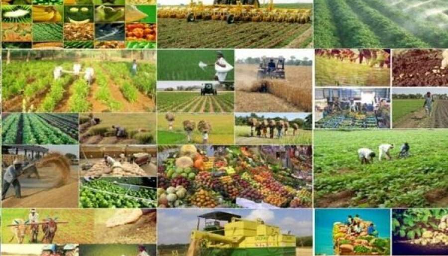 هزار و ۶۴۰ میلیارد تومانی به کشاورزی شمال استان در سفر رئیس جمهور اختصاص یافت